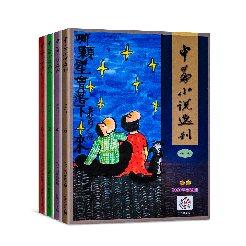 中篇小說(shuo)選刊