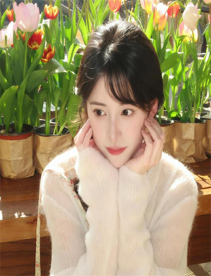 《摘星寻梦》故事脉络梳理：主线与支线情节完整解构解读